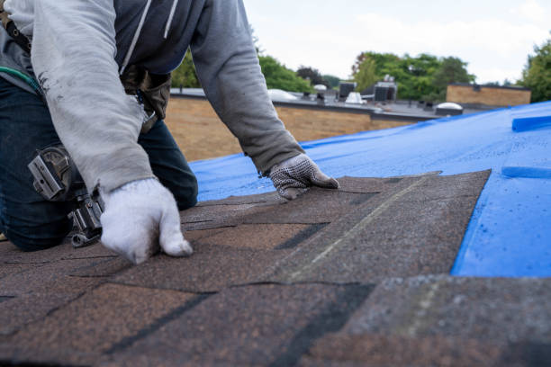 Best Roof Coating and Sealing  in Cutler, CA